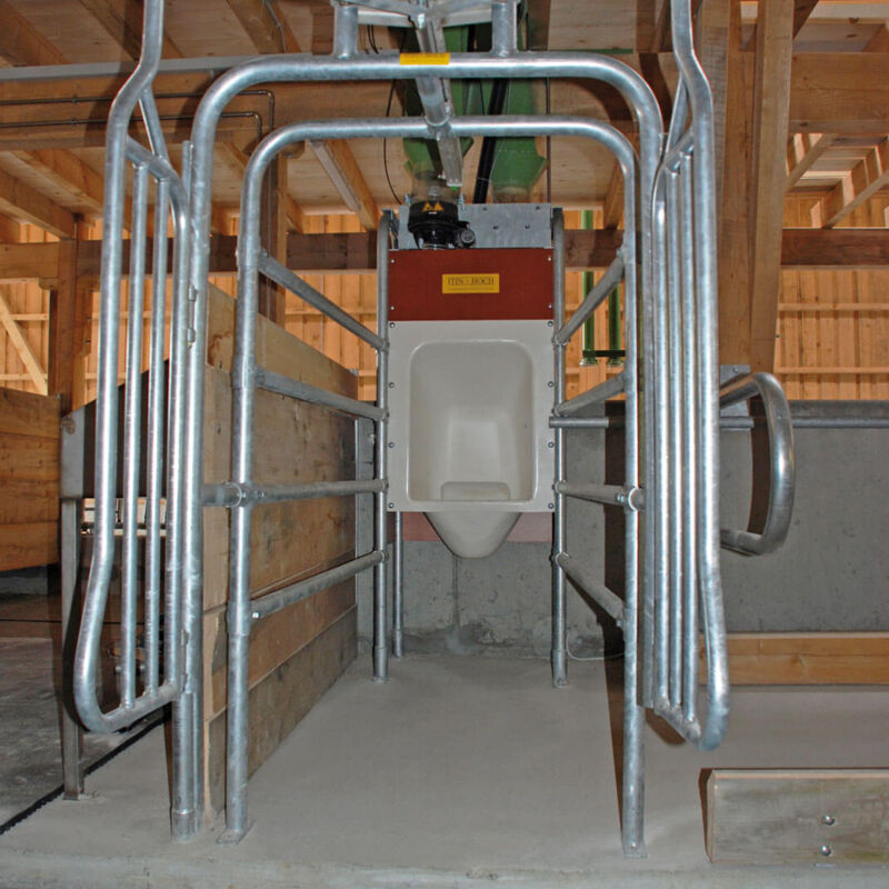 CFS_Milk_DSC_0134.jpg