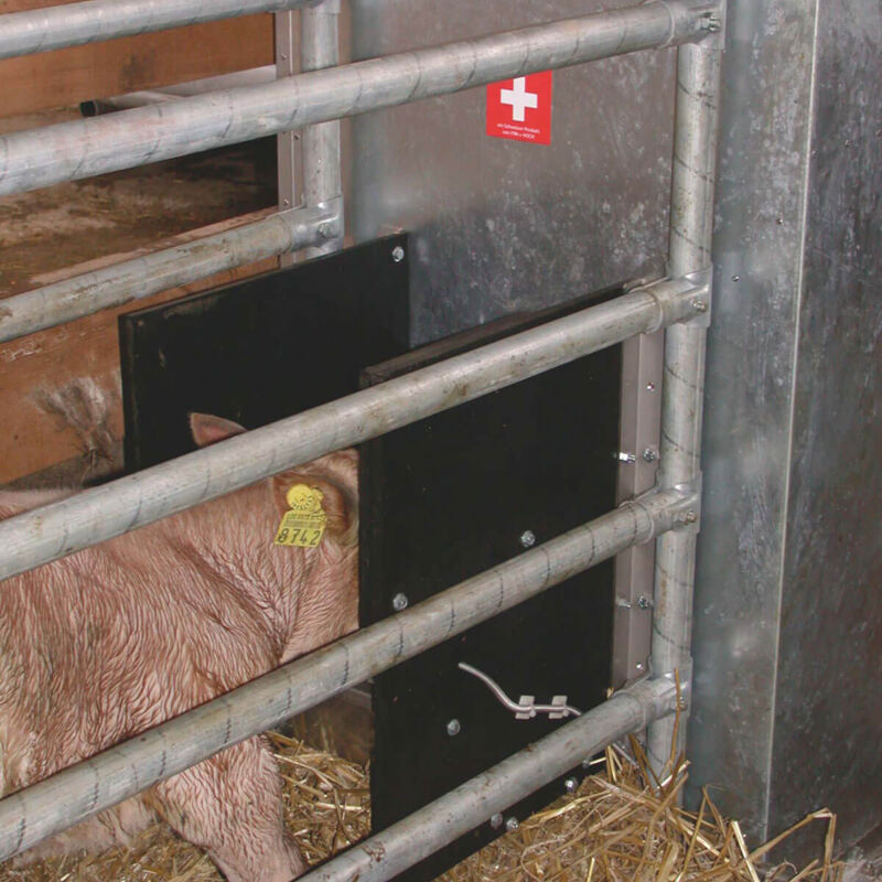 cfs_topbeef_0250.jpg