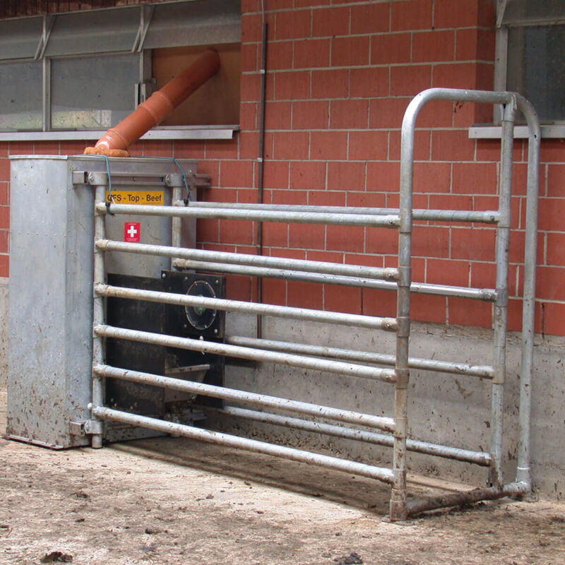 cfs_topbeef_0463.jpg